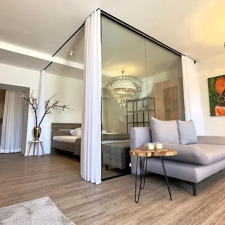 Beefree Whirlpoolsuitexl33-freeparking-fastwifi شقة باساو